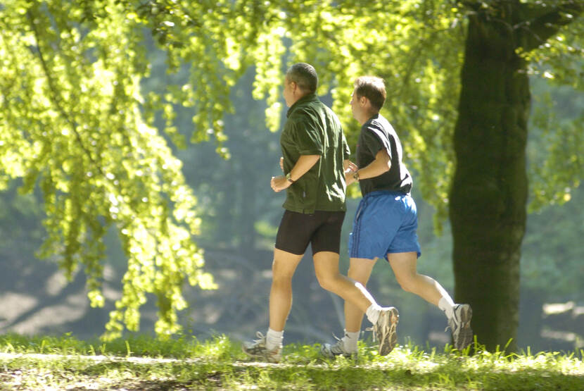 Hardlopers in het park